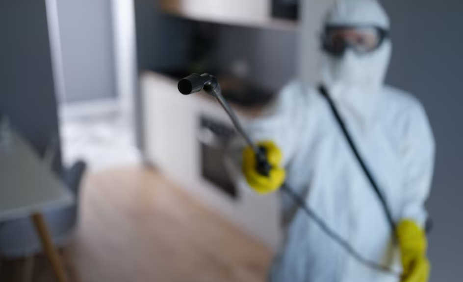 Wirksame Lösungen, um unerwünschte Schädlinge von Ihrem Grundstück fernzuhalten